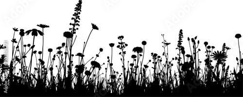 A stark black silhouette depicts a meadow filled with various wildflowers and grasses against a bright white background. The image emphasizes shape and form, creating a minimalist, natural scene.