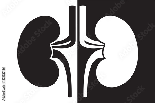 Black and white kidney illustration simple vector graphic for medical designs isolated on a contrasting background