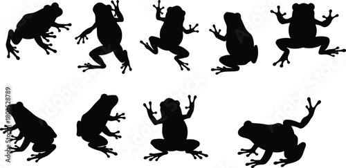 Collection of frog silhouettes in various jumping, sitting, and climbing poses, detailed amphibian vector illustration for wildlife designs, nature artwork, creative graphic projects