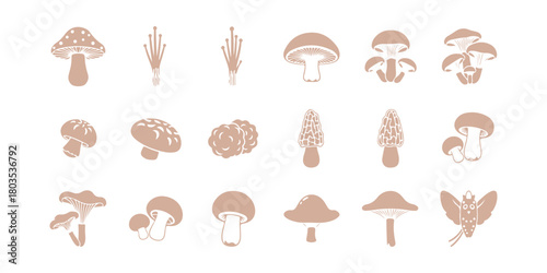 Mushroom icon pack

