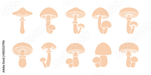 Mushroom icon collection

