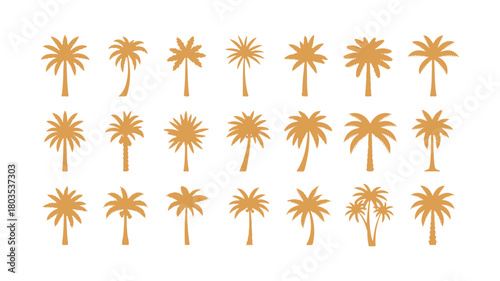 Palm tree graphics. Design features of palm trees

