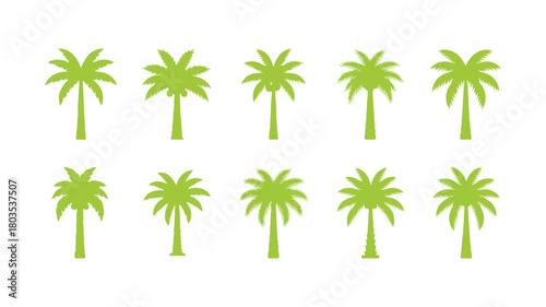 Palm tree symbols. Graphic elements featuring palm trees

