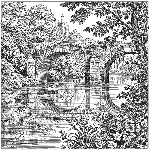 Ancient forest landscape with overgrown ruins and dense foliage in monochrome illustration