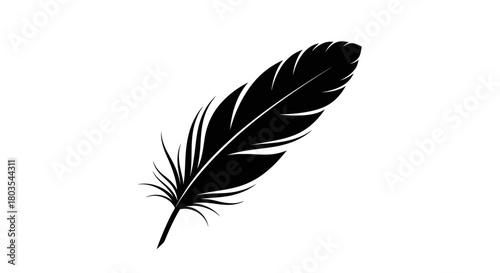 Elegant black feather illustration detailed vector graphic isolated on white background for design elements