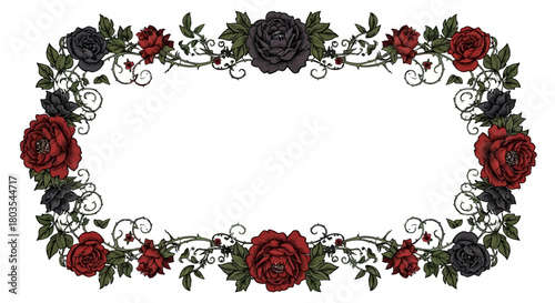 Elegant floral frame with red and black roses decorative vector border with thorns and leaves isolated on white background