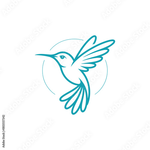 Flying Humming Bird Logo Vector