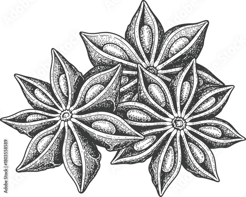 Three star anise pods with a rustic appearance isolated on a dark background