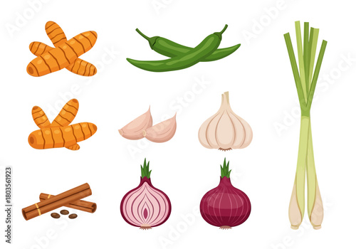 Collection of illustrated spices and aromatics turmeric chilies garlic cinnamon onions and lemongrass