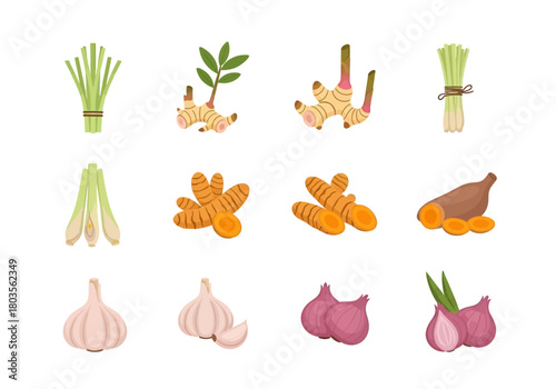 Twelve illustrations of culinary herbs and roots arranged in three rows of four