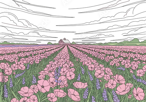 Vast field of pink poppies and purple flowers leading to a distant barn under cloudy sky