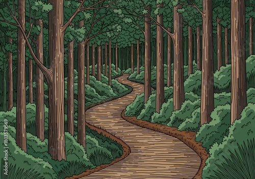 Winding dirt path through a dense forest of tall straight trees