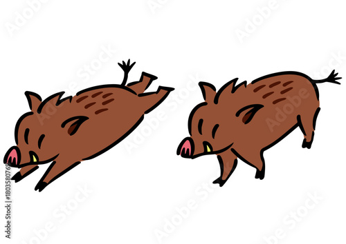 かわいい成獣のイノシシ。アイソメトリック図。