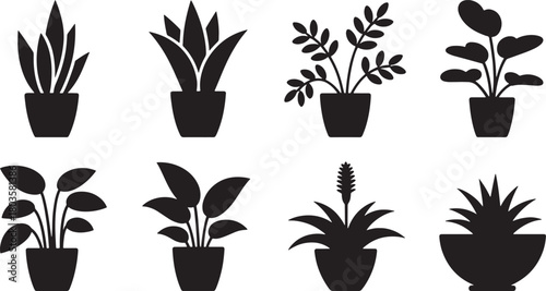 Silhouette of houseplants in pots for home decoration indoor or outdoor vector
