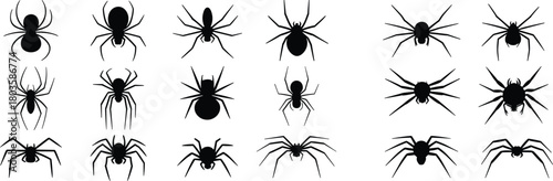 Spider silhouette collection vector set featuring various spider shapes, creepy insect icons, black arachnid illustrations for Halloween, nature, pest control, and educational designs