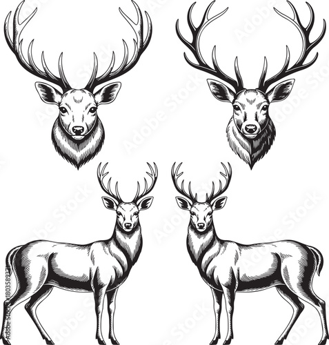 Stylized Deer Silhouettes with Antlers – Vector Set of Wildlife Icons 