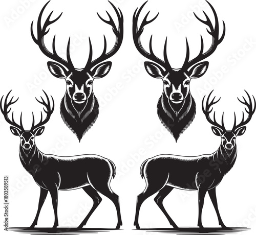 Stylized Deer Silhouettes with Antlers – Vector Set of Wildlife Icons 