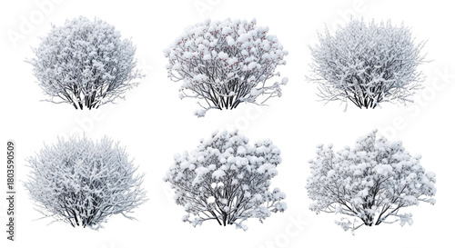 Minimalist Winter Nature Scene Snow Covered Bushes in Serene Snowy Landscape