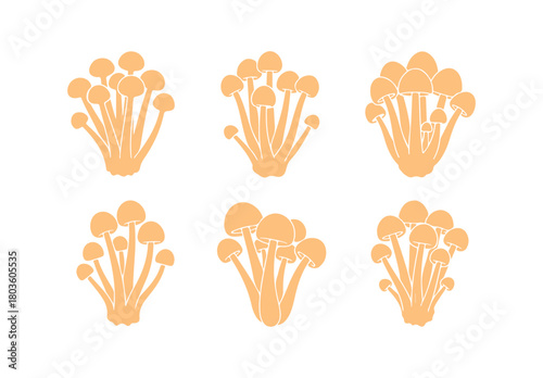 A vector set featuring Enoki mushrooms, also known as Flammulina filiformis, in vibrant colors against a white background. It's a contour drawing of an edible mushroom perfect for organic designs.

