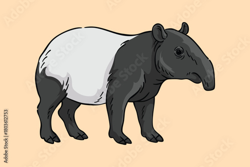 tapir Illustration, Wildlife Animal Line Art Drawing Vector