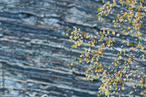 Fototapeta Naklejka Na Ścianę i Meble -  Zbliżenie ściany skalnej w kamieniołomie w Kozach