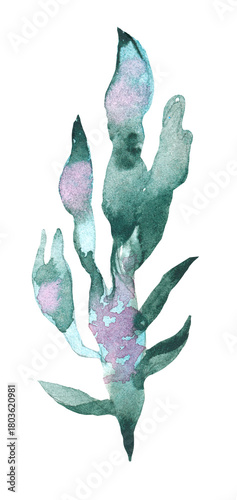 Seaweed watercolor illustration of abstract sea underwater plants