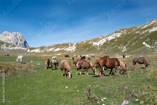  Lake of Pietranzoni in Campo Imperatore - L'Aquila. The plain of Campo Imperatore is the guardian of small natural and karst glacial waters