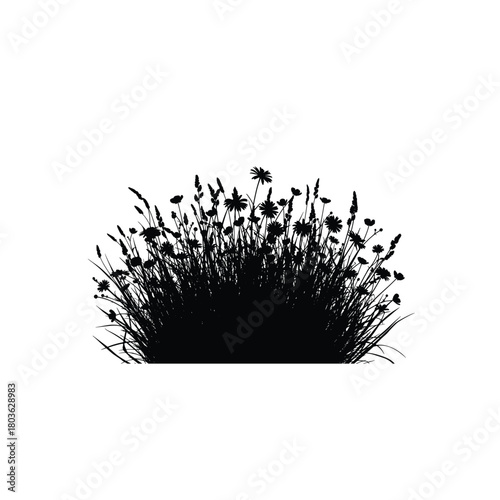 Silhouette of a dense cluster of wildflowers and grasses against a white background