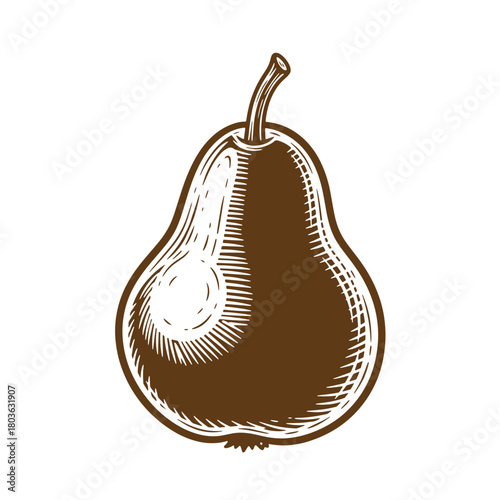 Classic hand drawn pear illustration in vintage sketch art style with brown tones