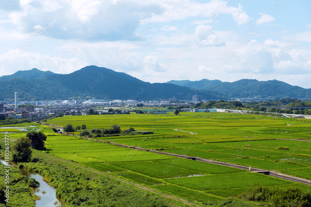 Obraz premium 亀岡市の風景