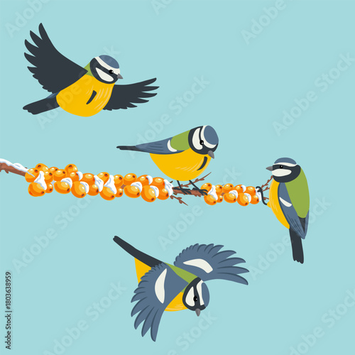 vector drawing birds, blue tit at sea buckthorn branch with berries and snow in winter, hand drawn wildlife illustration