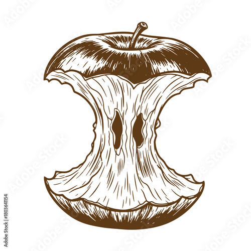 Illustration of a hand drawn brown apple core in sketch vintage art style