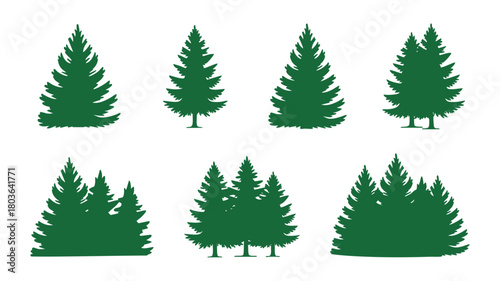 Pine evergreen tree silhouettes