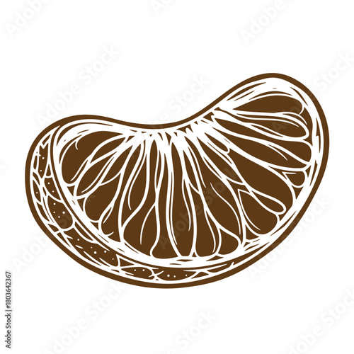 Isolated vector illustration of a hand drawn sketch style vintage orange fruit slice
