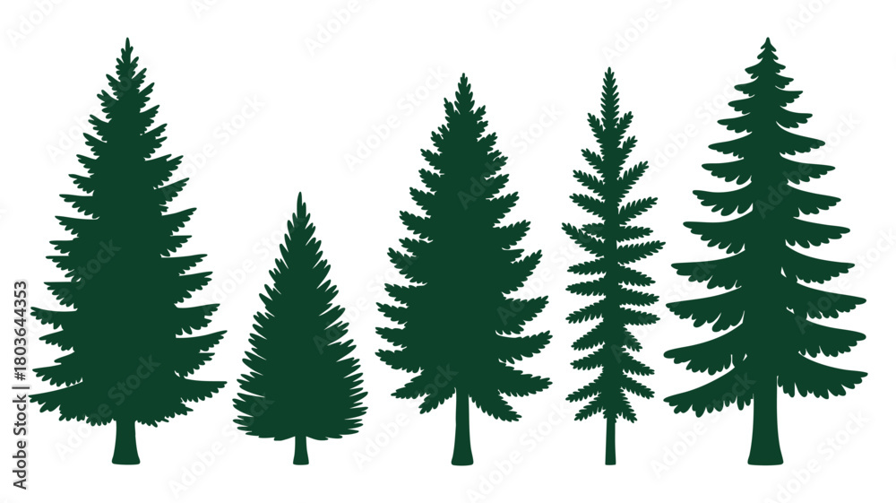 Obraz premium Assorted evergreen tree shapes