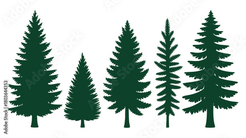 Assorted evergreen tree shapes