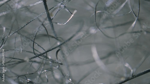 Steel wool fibers under microscope low magnification