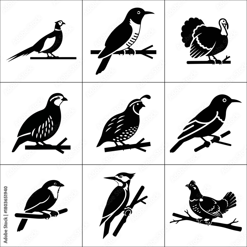 Obraz premium Collection of nine different bird species isolated on white background