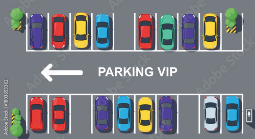 VIP Parking Area with Various Colorful Cars and Trees.