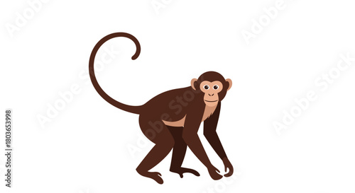 Brown monkey focused on the main subject looking forward with interest.