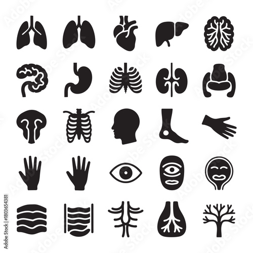 Collection of black human organ and body part icons on white background lungs heart