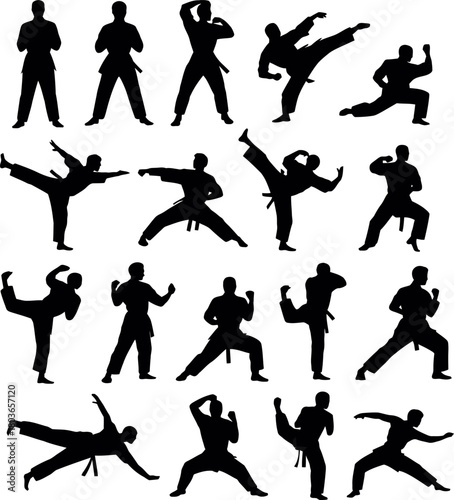 Martial arts silhouettes demonstrating various combat techniques
