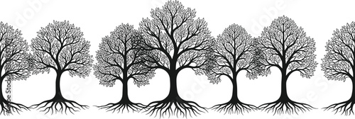 Stylized row of trees with exposed roots forming natural pattern, detailed botanical silhouette illustration showing organic branching structure and forest symmetry