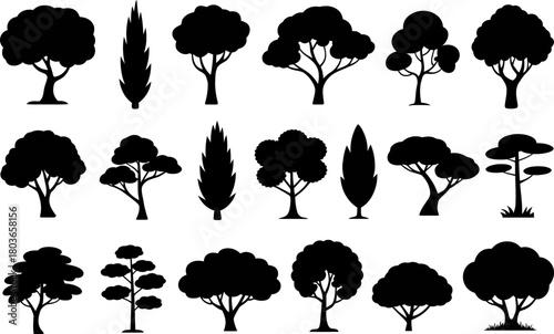 Diverse tree silhouettes collection, various arboreal forms set.