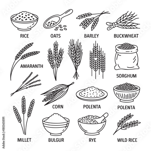Collection of hand drawn cereal and grain icons with labels rice oats