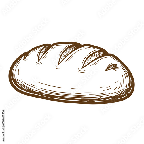Vintage sketch illustration of a delicious crusty loaf of bread isolated on white background