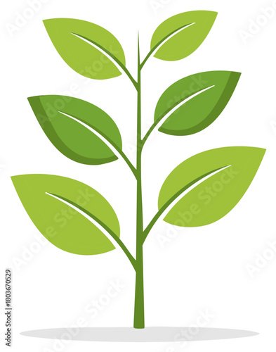 Green Plant Sprouts New Growth with Vibrant Leaves Stemming Upward