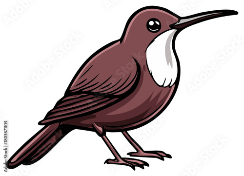 Cute cartoon illustration of a small brown bird with a white bib and long beak.