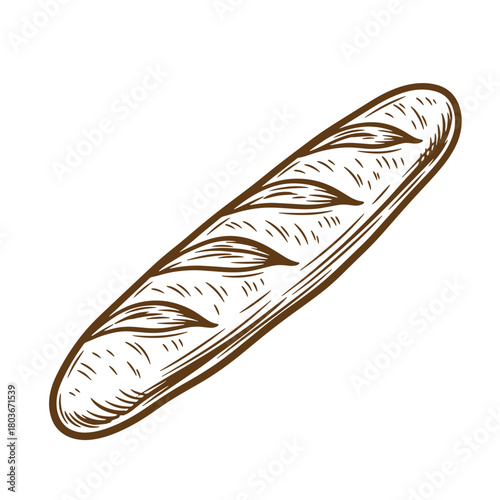 Hand drawn sketch of a freshly baked french baguette isolated on white background