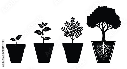 Watch your business grow, stages of growth from tiny plant to big tree